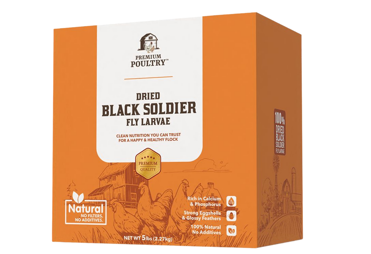 Box of dried black soldier fly larvae with branding on a white background