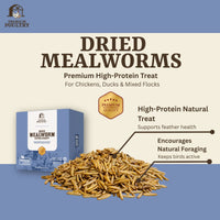 Advertisement for dried mealworms with a box and mealworms on a blue and beige background.