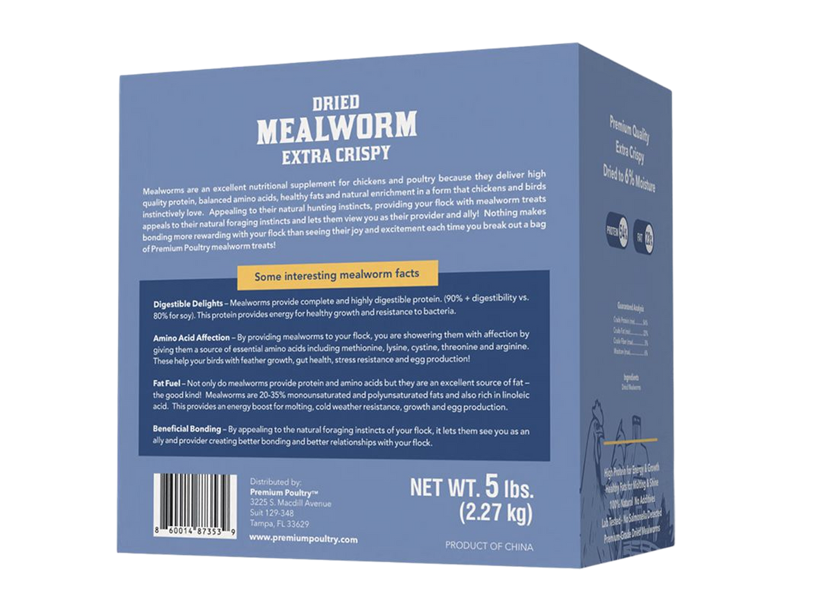 Dried mealworms for chickens with high protein to support growth, energy, and feather health