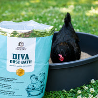 Bag of Diva Dust Bath for chickens with a chicken in a dust bath