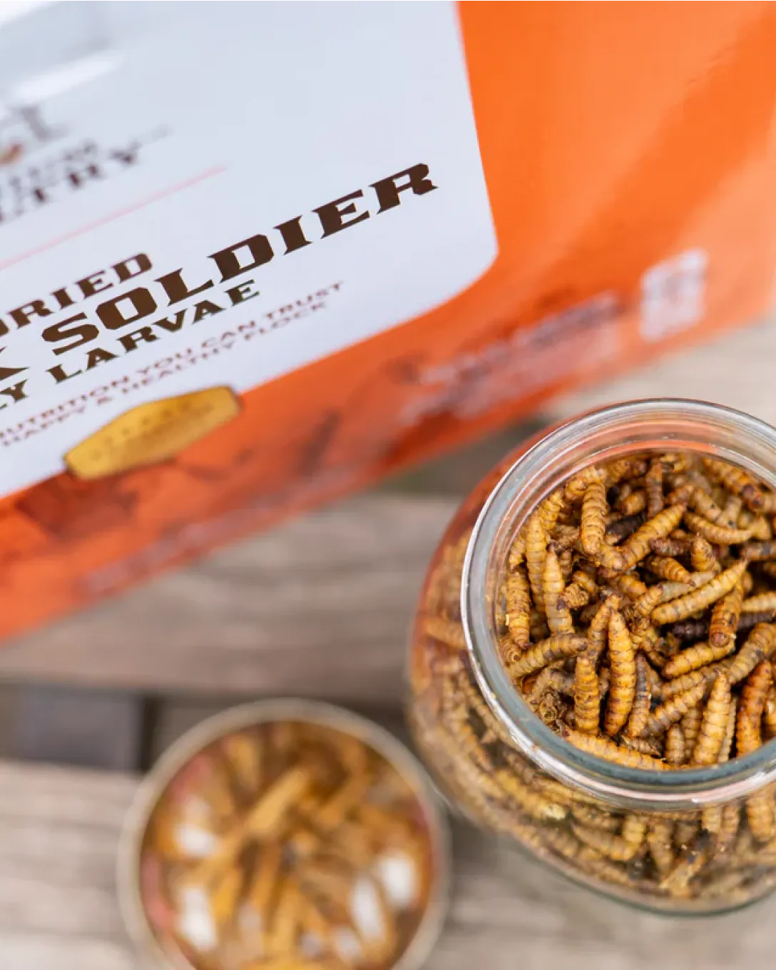 Jar of soldier fly larvae with a branded box in the background on a wooden surface.