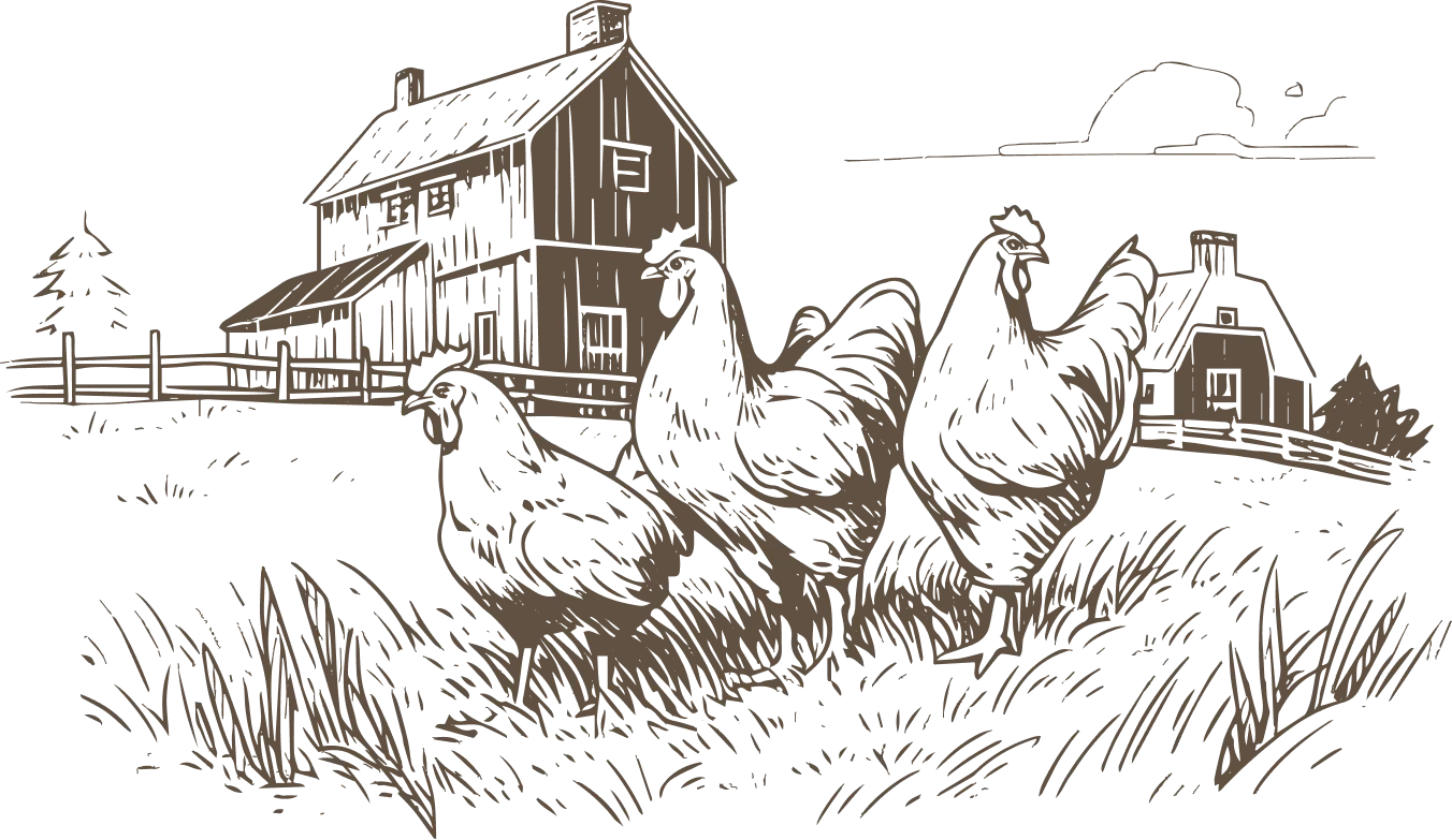 Illustration of three chickens in the grass in front of a farm