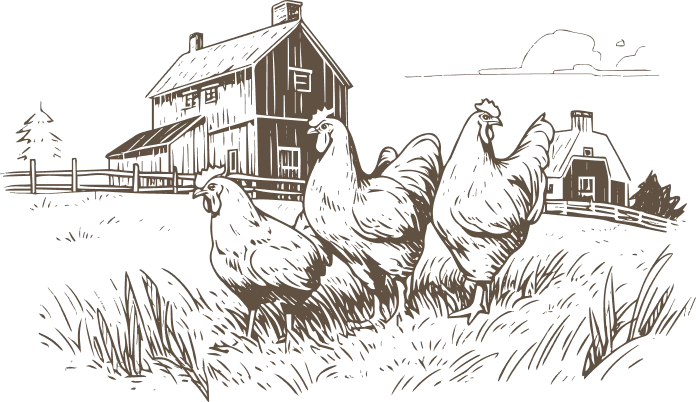 Illustration of three chickens in the grass in front of a farm