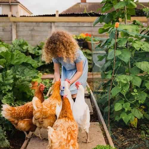 Woman with chickens in a garden setting